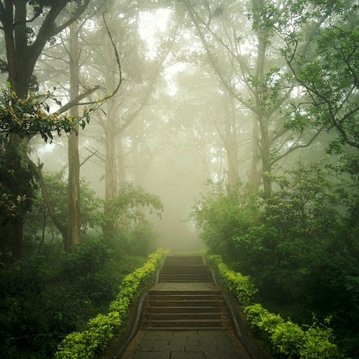 Protected areas overview